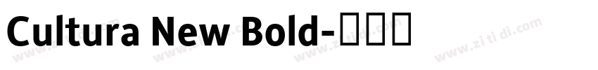 Cultura New Bold字体转换
